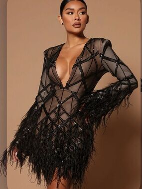 Black Sheer Feather Fringe Mini Dress NEW WITH TAGS